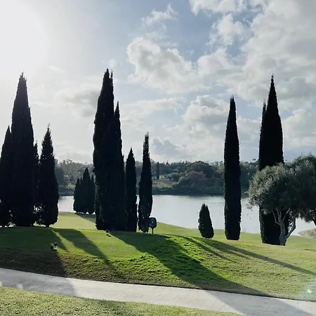 35 - Grand A El Lago, Flamingo *