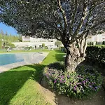 35 - Grand A El Lago, Flamingo *