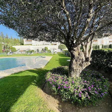 35 - Grand A El Lago, Flamingo *