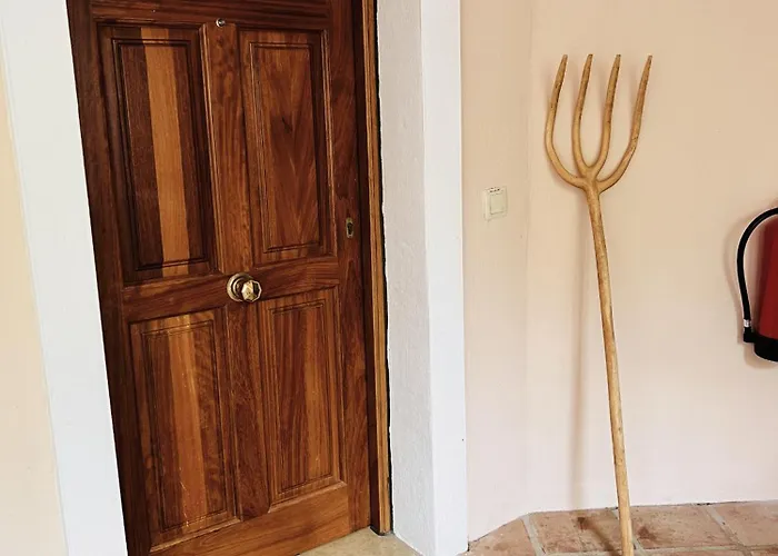 35 - Grand A El Lago, Flamingo *